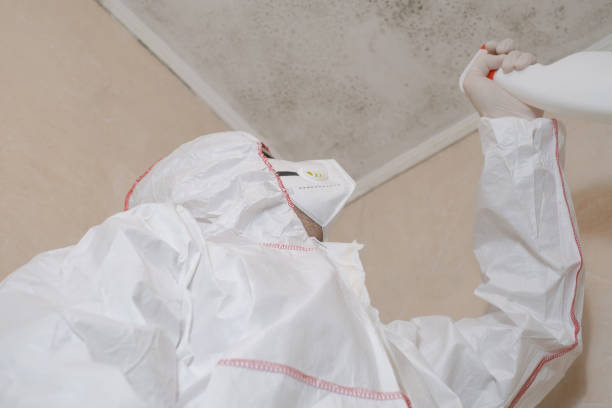 Best Health and Safety Mold Remediation in Fords Prairie, WA