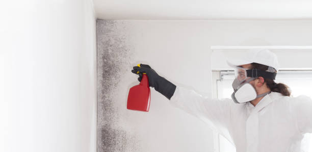 Best Kitchen Mold Remediation in Fords Prairie, WA